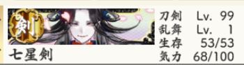 七星剣（超難出陣前の気力）.JPG