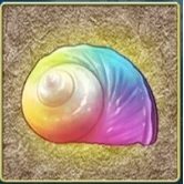 虹の夜光貝.jpg